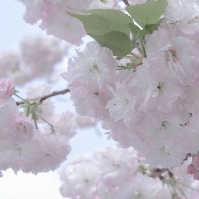 Furry色彩搭配技巧福瑞交流群